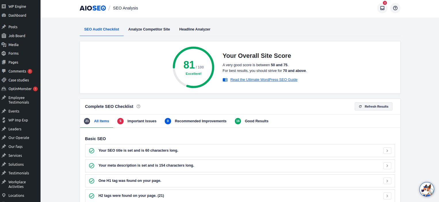 AIOSEO plugin dashboard showing an overall site SEO score of 81 with checklist results and no recommended improvements.