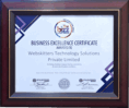 Webskitters Awarded THE BIZZ Business Excellence Honor