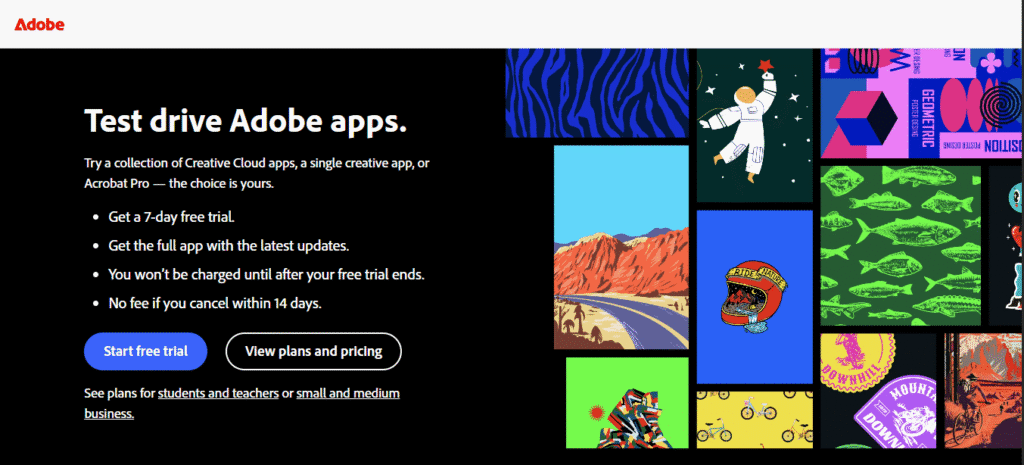 CTA and Website Conversion